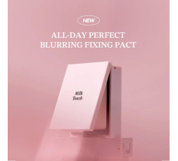 All Day Perfect Blurring Fixing Pact