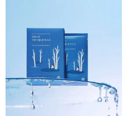Roundlab (10ea) BIRCH JUICE MOISTURIZING DOUBLE GEL MASK 23ml